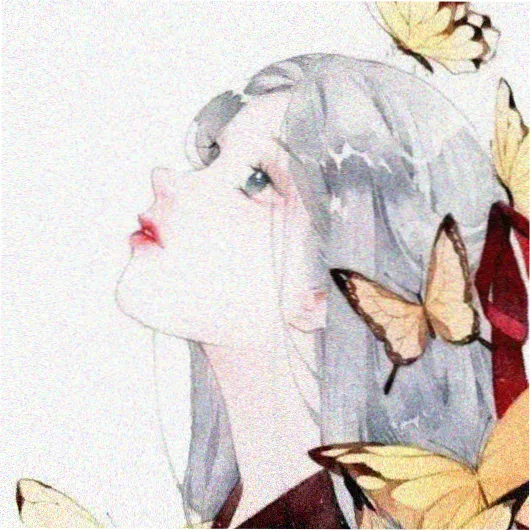 观察员何芮的头像